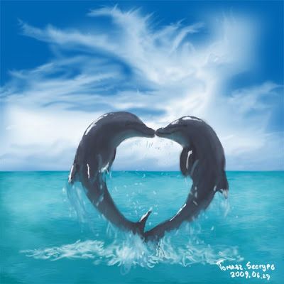 dolphin-heart